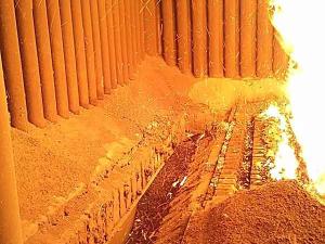 Biomass comubustion grate