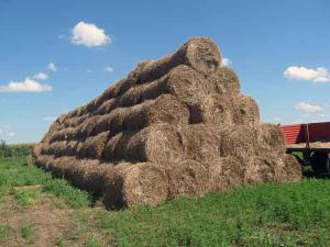 Strow roll bales