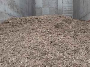Wood chips moving floor